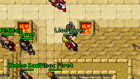 Lion'Pwer on screen