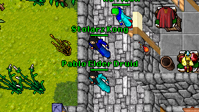Stolarz Kong on screen
