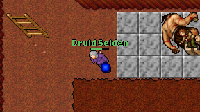 Druid Seiden on screen