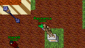 Pacearca on screen
