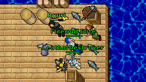 Firewolf Elite on screen
