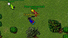 Eowm Fron on screen