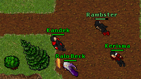 Kandek on screen