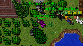 Escort rally on screen