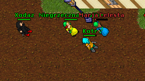 Kotr on screen