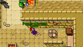 Pacera Druid on screen
