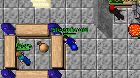 Sleep Druid on screen