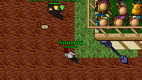 Snoway on screen