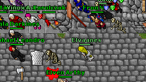 Elvaanes on screen