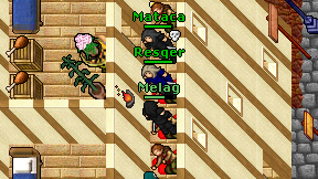 Melag on screen