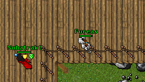 Fureas on screen