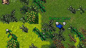Poker Azur on screen