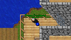 Dous Enzimus on screen