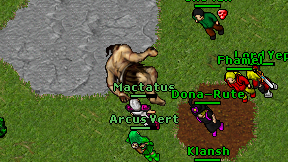 Mactatus on screen