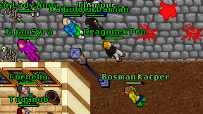 Dragonek Pro on screen