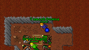Tamash Downa on screen