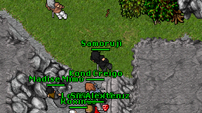 Samoruji on screen