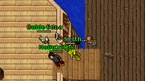 Selth on screen