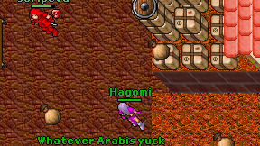 Hagomi on screen