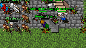 Bwisp Twin on screen