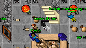 Kamerdyner on screen