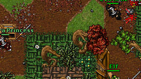 Phandora Princess on screen