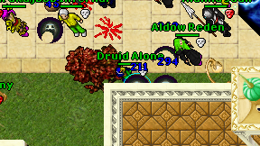 Druid Alone on screen