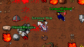 Genius'Vim on screen