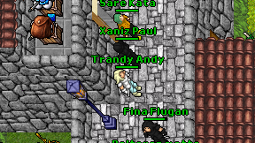 Trandy Andy on screen