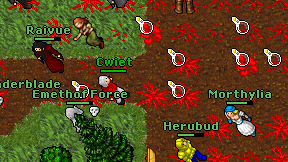 Cwiet on screen