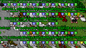 Ice Panda on screen