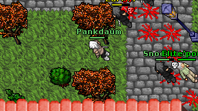 Pankdaum on screen
