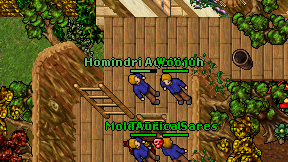 Homindri Aquillath on screen