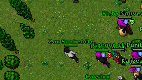 Zax Snakebite on screen