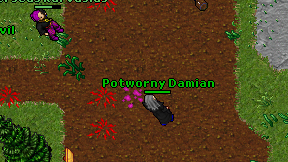Potworny Damian on screen
