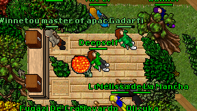 Deepself on screen