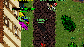 Yorke on screen