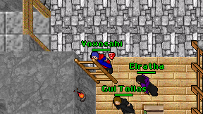 Voxosahi on screen