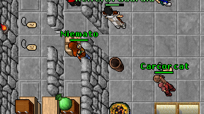 Niemato on screen