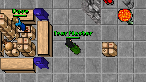 Isar Master on screen