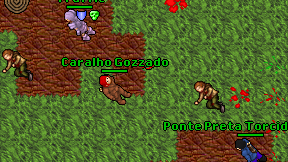 Caralho Gozzado on screen