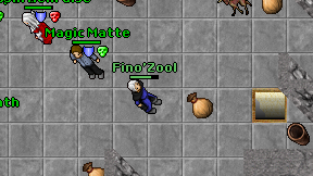 Fino'Zool on screen