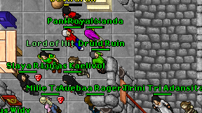 Druid Ruin on screen