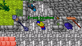 Crash Swallow on screen
