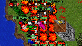 Bodum on screen