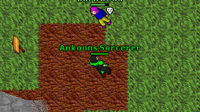 Ankoons Sorcerer on screen