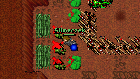 Slimaczek on screen