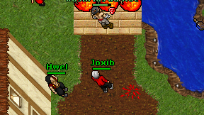 Joxib on screen