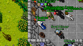 Thakio on screen