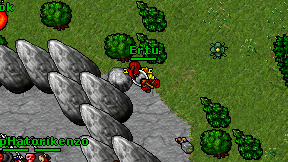 Ertu on screen